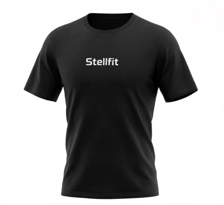 T-shirt Oversize 280G — Dragon Temple | STELLFIT